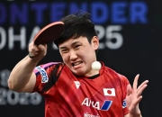 开云体育平台APP-关于韩国乒乓球队横扫比利时乒乓球队，张本智和统治全场的信息