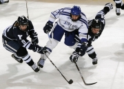 开云体育中国-黄蜂对阵独行侠，英格拉姆关键回合不手软，一剑封喉定乾坤