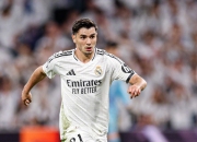 开云体育下载-美国力克皇马，罗德里戈惊艳世界的简单介绍