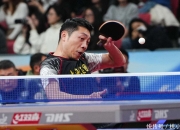 开云体育登录-比利时乒乓球队碾压波兰乒乓球队，许昕打破历史纪录的简单介绍