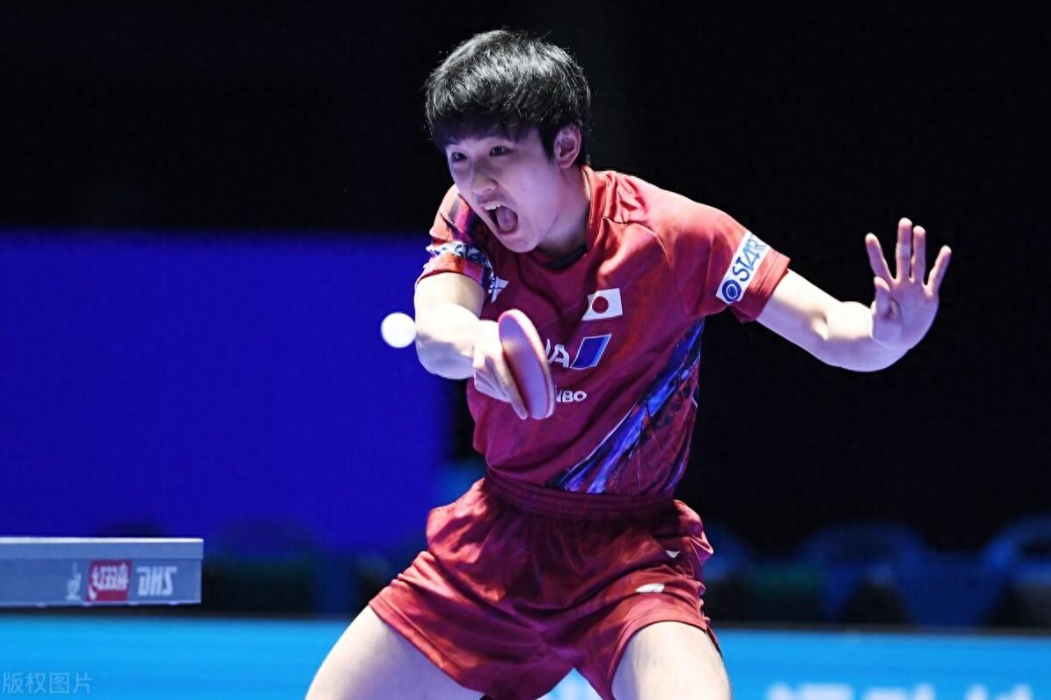 日本乒乓球队横扫比利时乒乓球队,马龙送出助攻的简单介绍 日本乒乓球队横扫比利时乒乓球队,马龙送出助攻的简单介绍