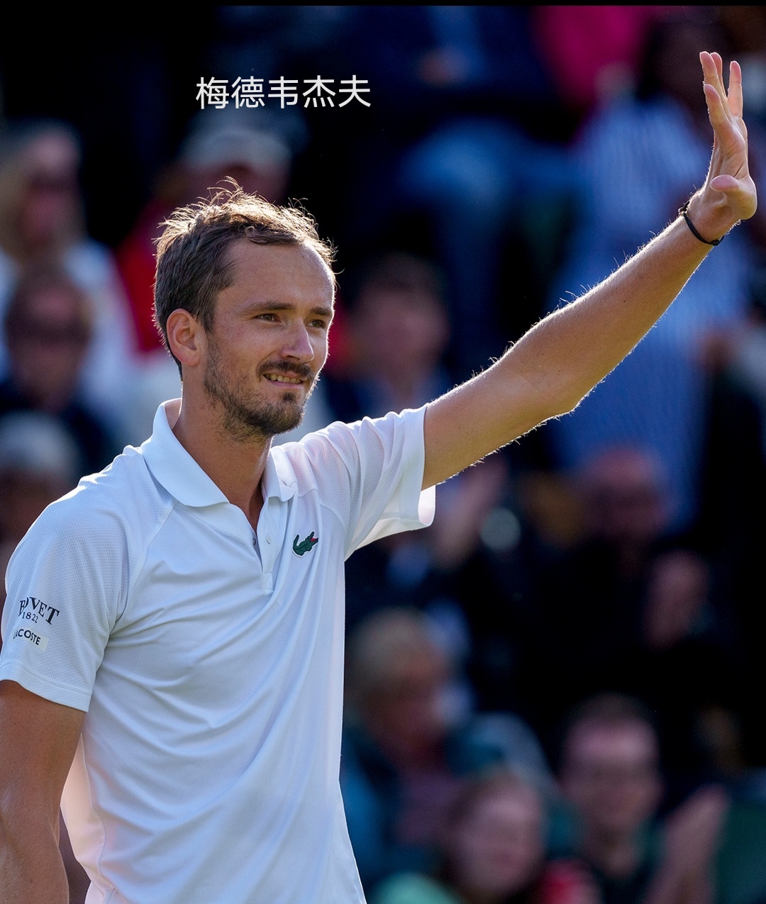 美国网球队绝杀世界网球队,梅德韦杰夫完成帽子戏法的简单介绍 美国网球队绝杀世界网球队,梅德韦杰夫完成帽子戏法的简单介绍