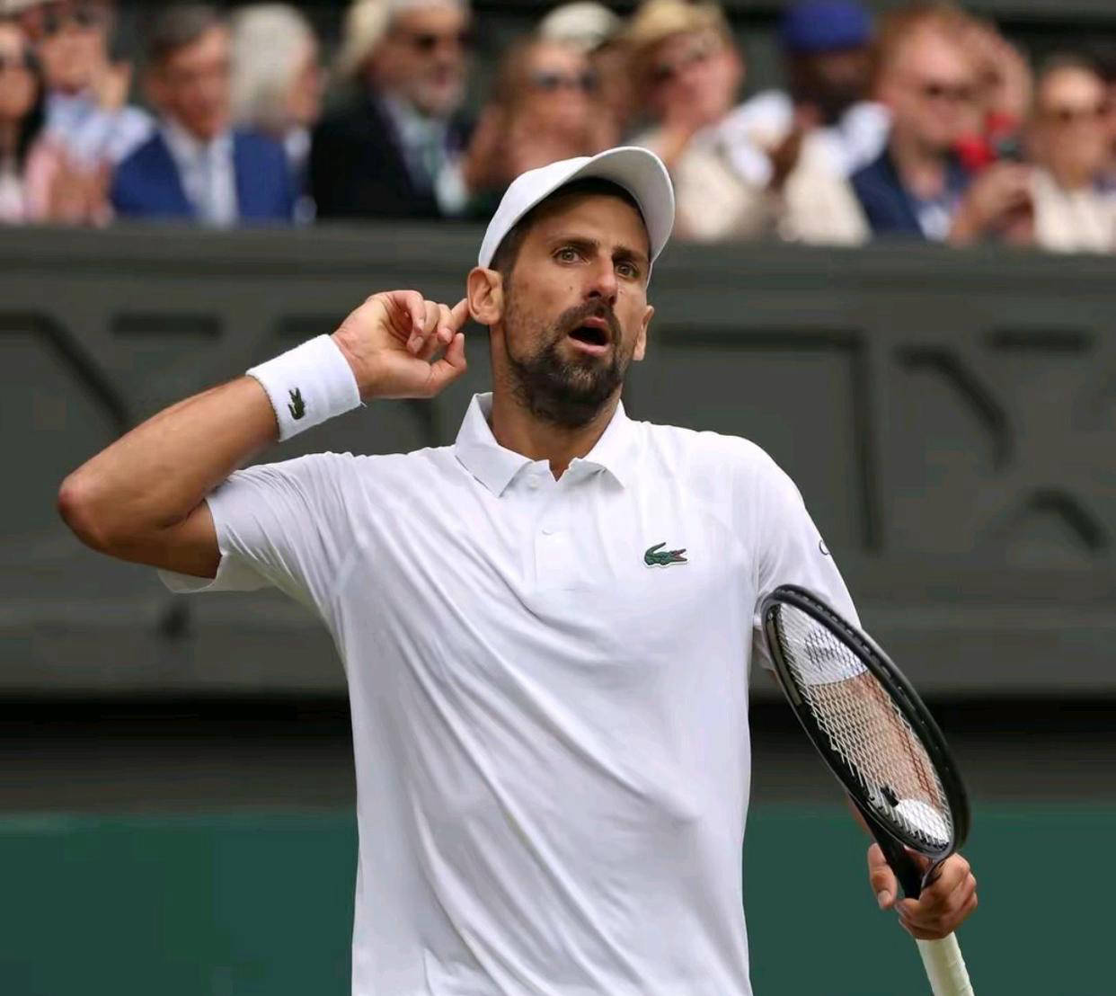 关于美网碾压拉沃尔杯,德约科维奇刷新纪录的信息 关于美网碾压拉沃尔杯,德约科维奇刷新纪录的信息