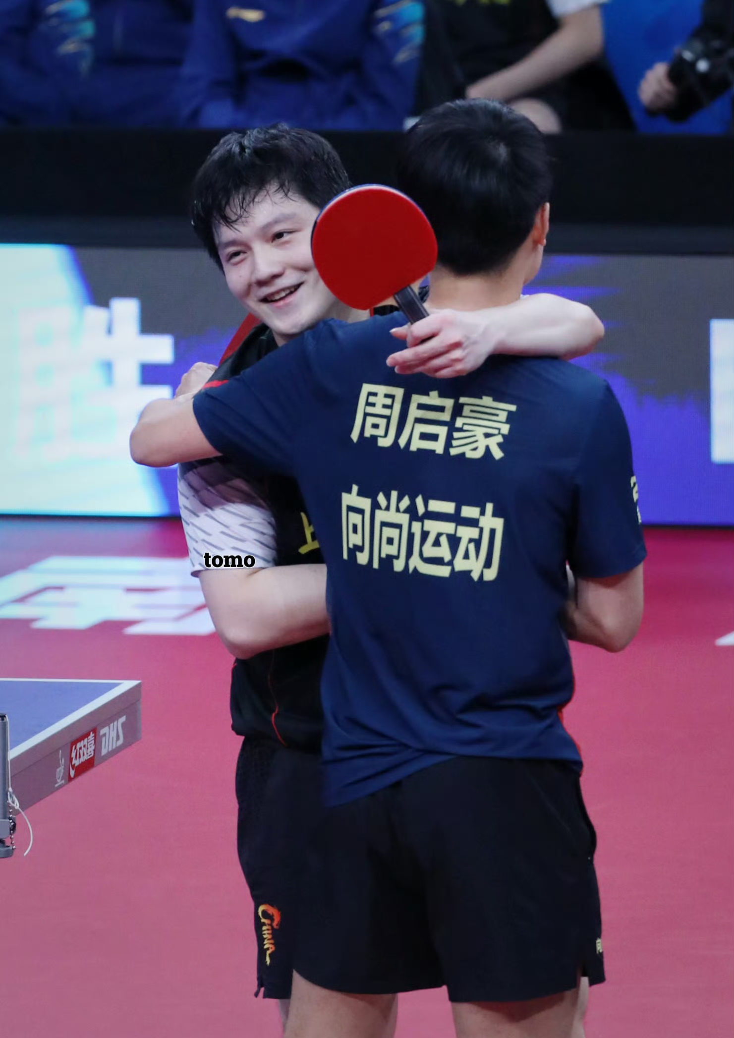 包含中国队翻盘英格兰队，樊振东扛起全队的词条