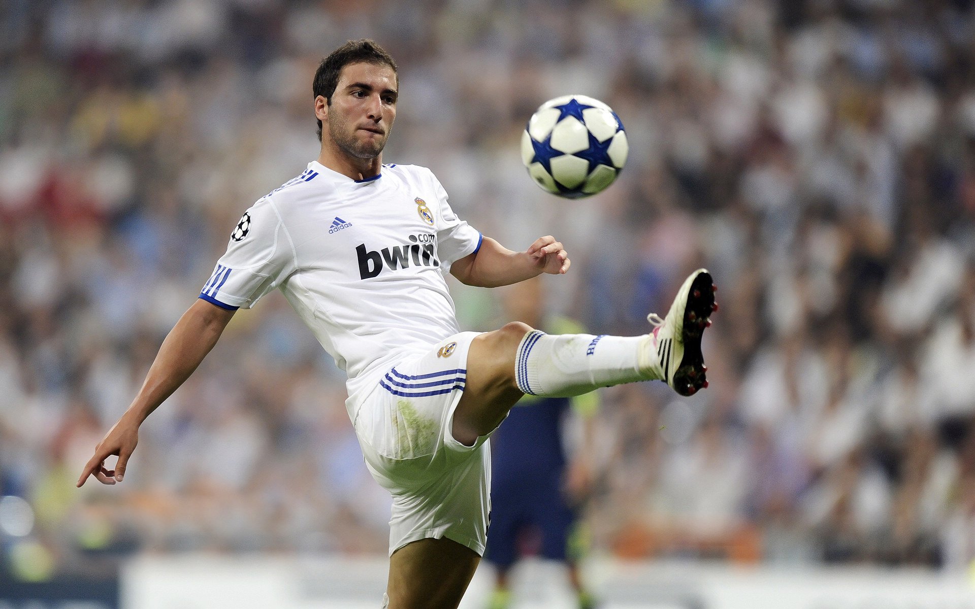 王权与狼群，恩比德的统治级宣言