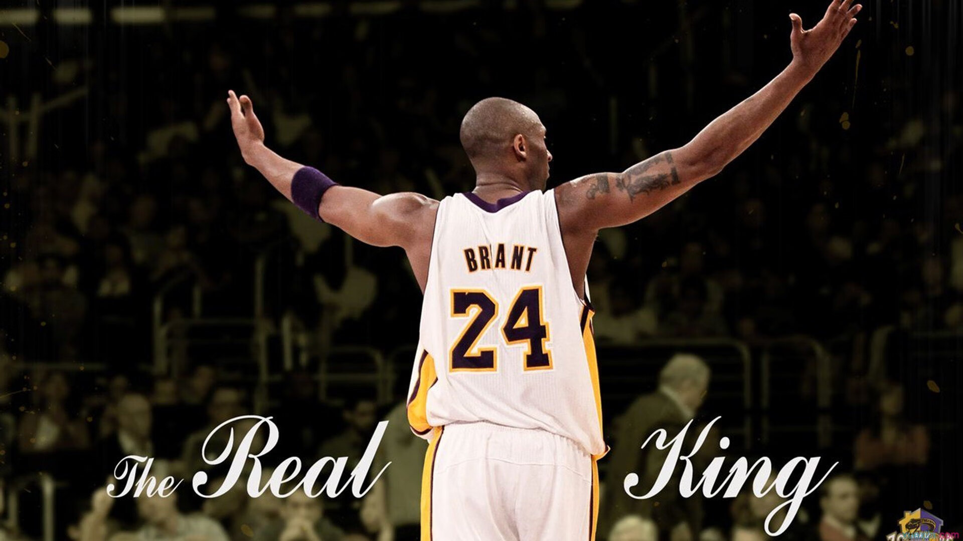 逆转与突破，体育精神的双重奏